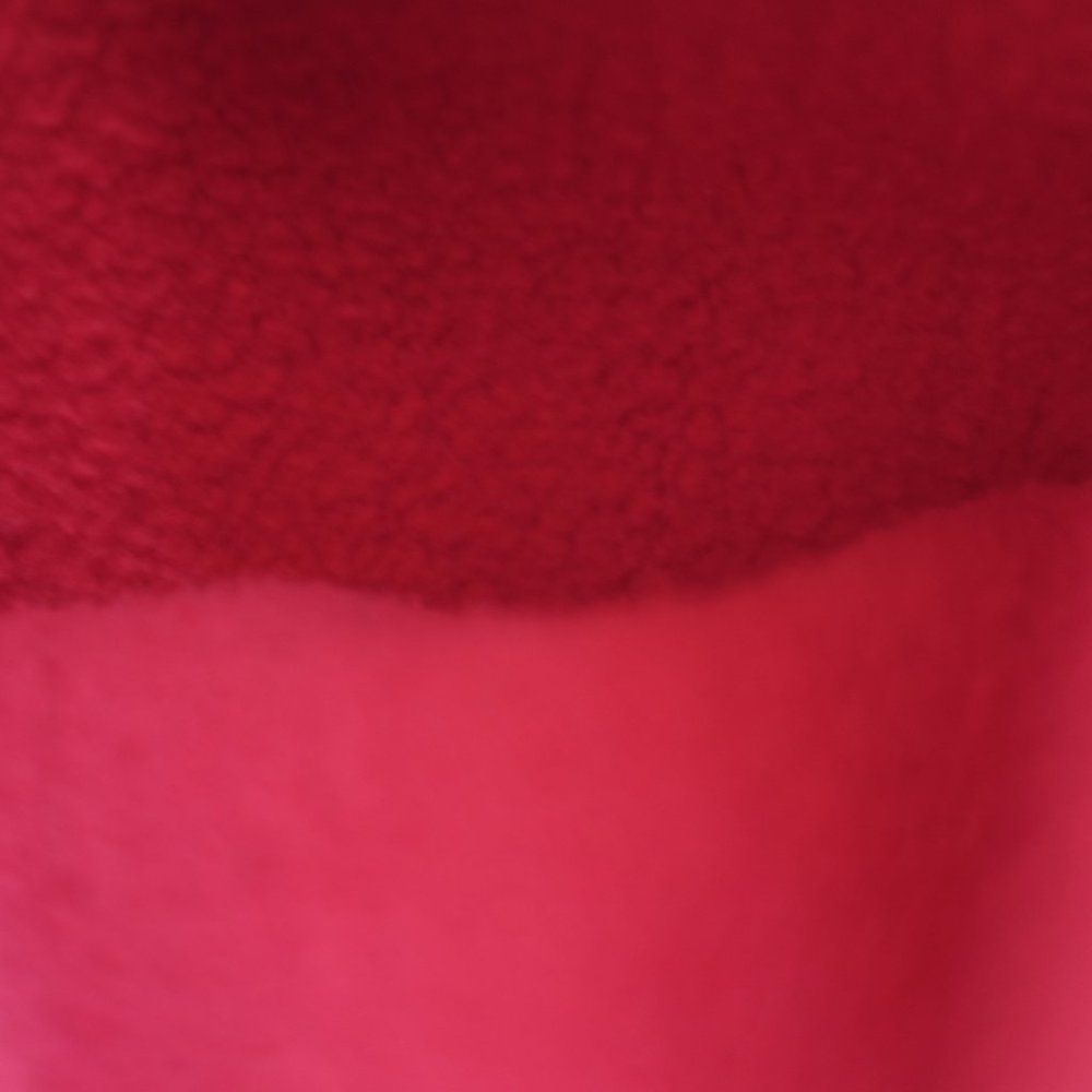 COPY - Champion red C-Life Reverse Weave C Logo Pull-Over Men's Hoodie fleece s… - Picture 11 of 12